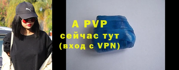 стаф Ельня