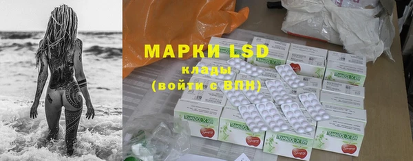 стафф Абинск